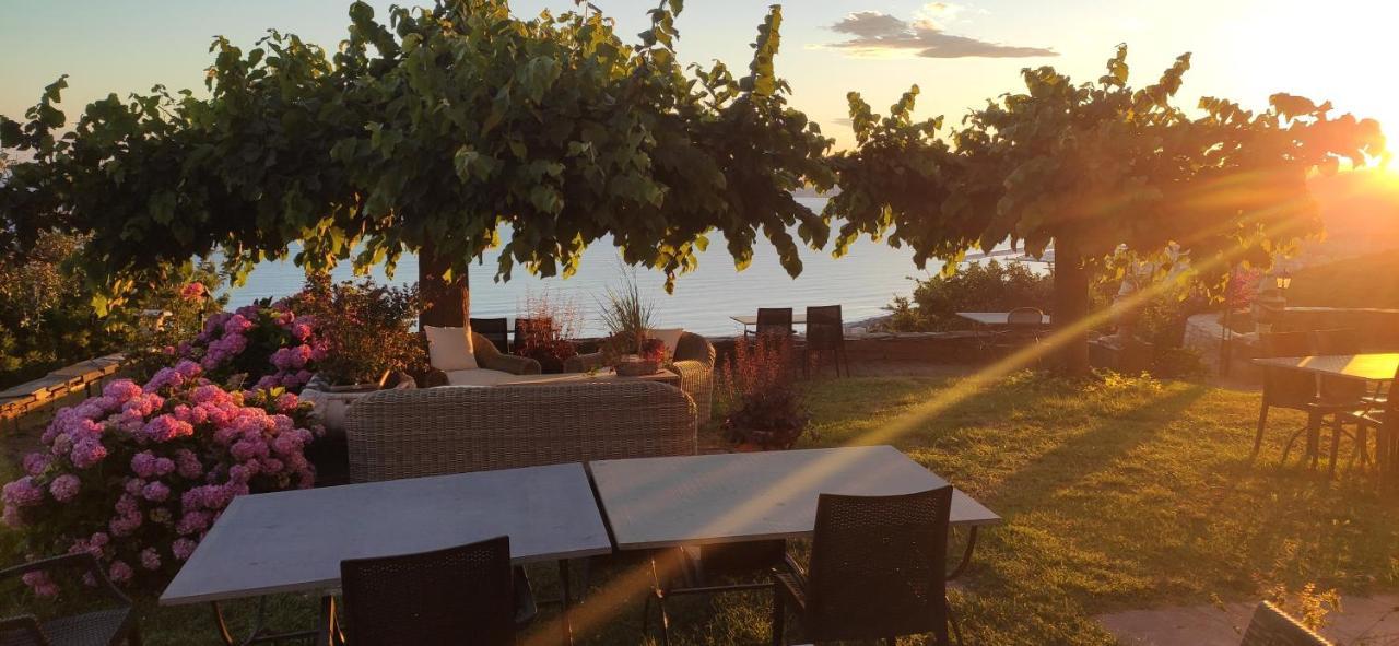 Agroturismo Olivenere Agriturismo Lavagna