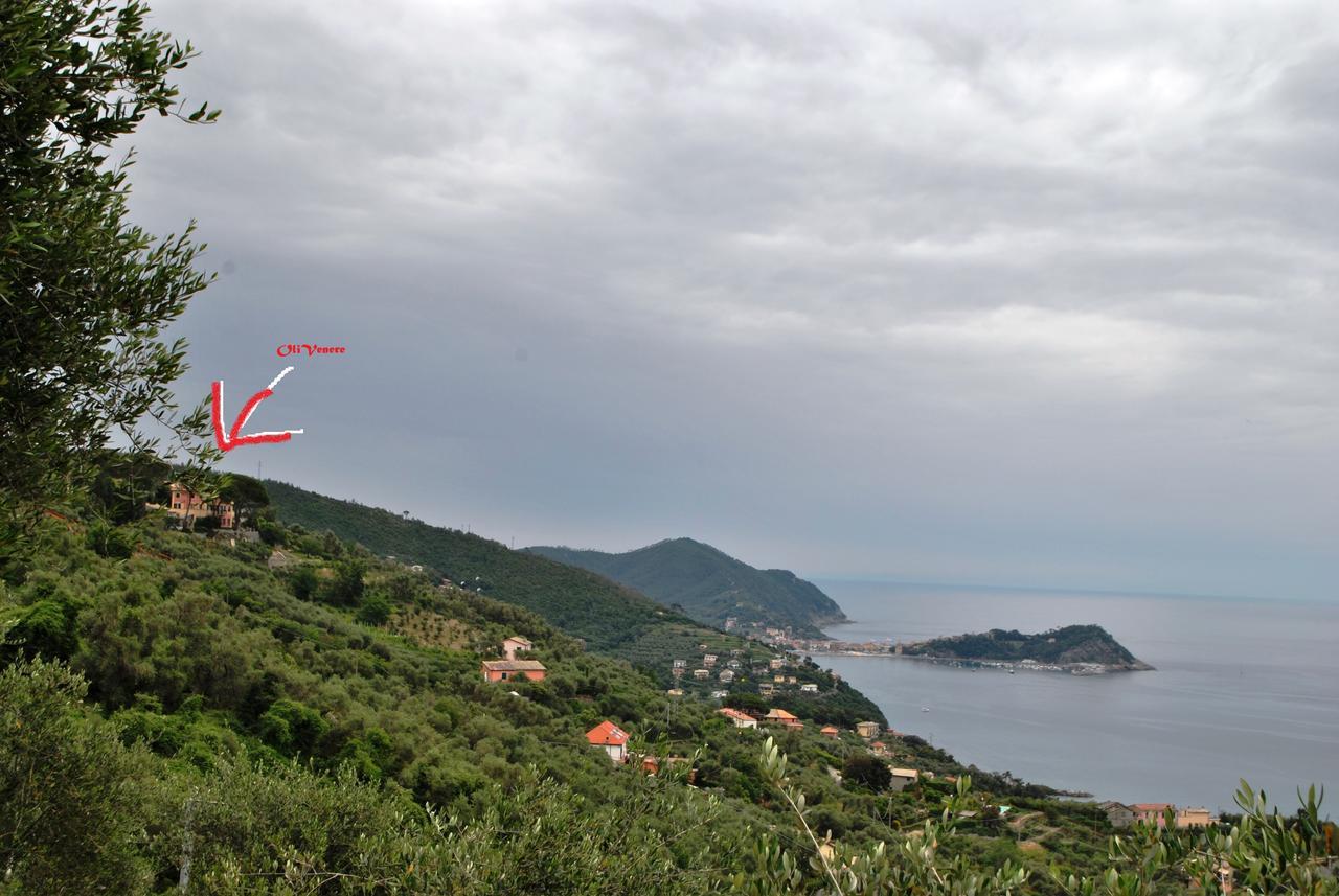 Olivenere Agriturismo Lavagna